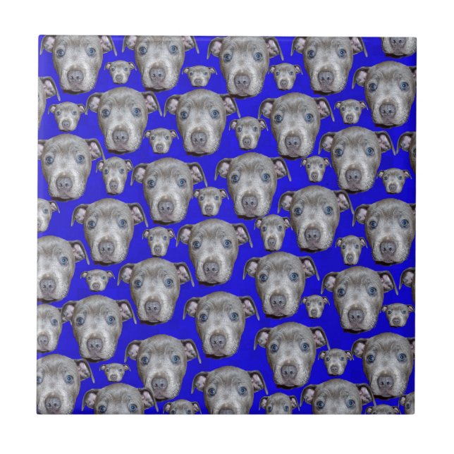 Carreau Staffordshire Bull Terrier Puppy (Devant)