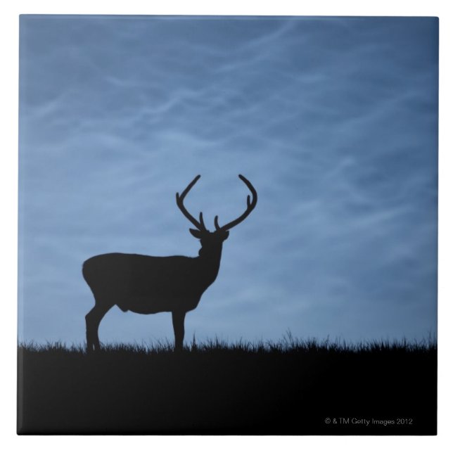 Carreau Stag de cerfs rouges silhouetté la nuit (Devant)