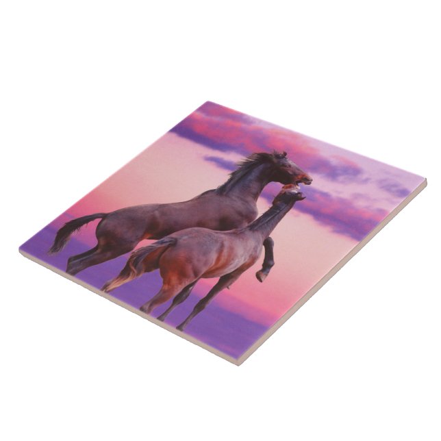 Carreau Stallions Jouer Carrelage (Côté)