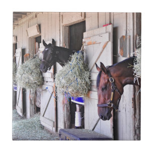 Carreau Stanwyck par le fabricant d'empire