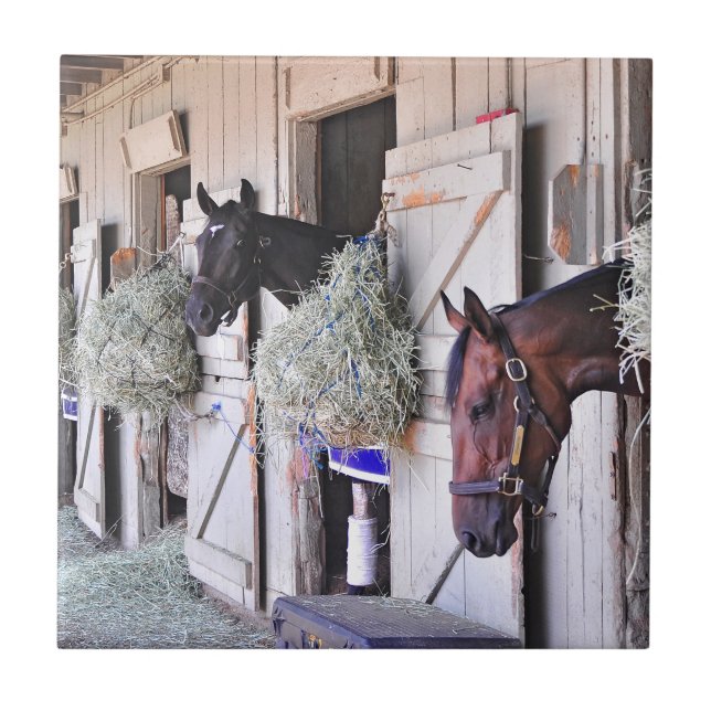 Carreau Stanwyck par le fabricant d'empire (Devant)