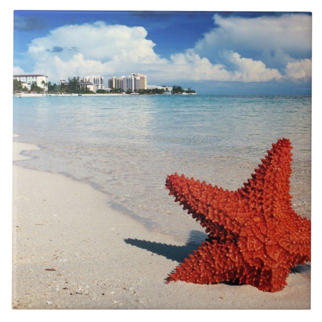 Carreau Starfish, Nassau, Bahamas (Devant)