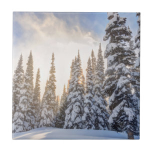 Carreau Station de ski de Crystal Mountain, près de Mt Rai