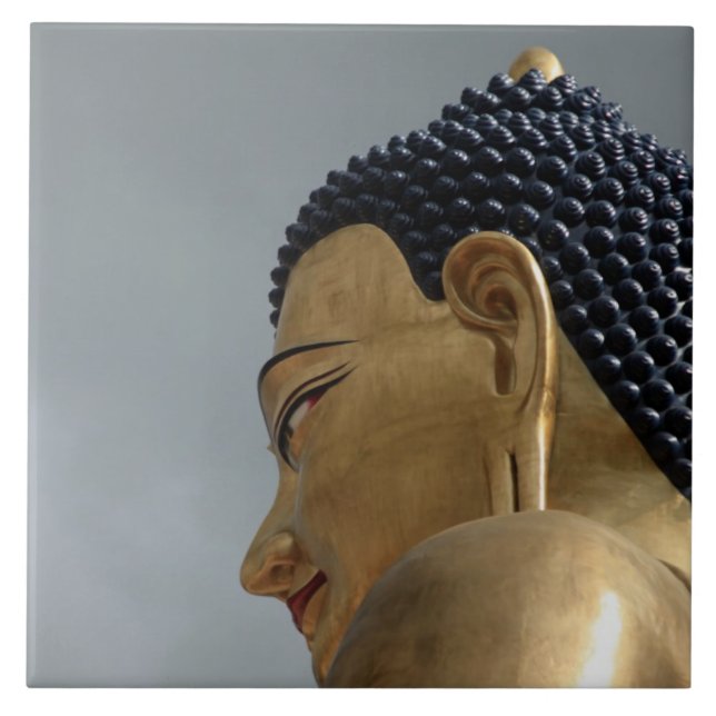 Carreau statue de Buddha Dordenma (Devant)