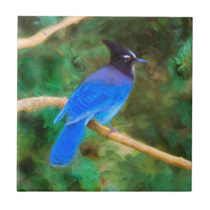 Carreau Steller's Jay Painting - Art original pour oiseaux