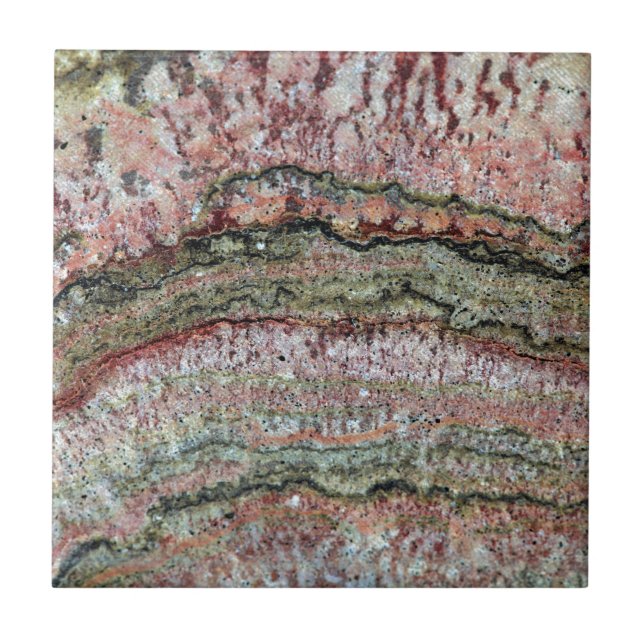 Carreau Stromatolites fossilisé (Devant)