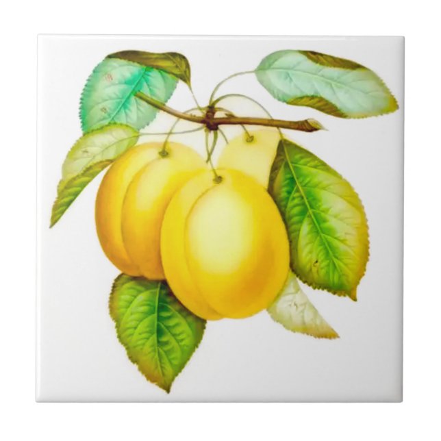 Carreau Style sicilien, Plums Jaunes Fruits d'été (Devant)