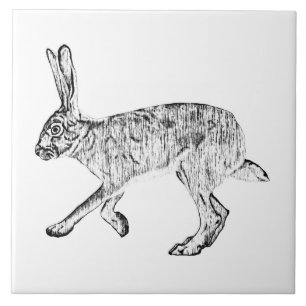 Carreau Stylo à lapin du sud-ouest et art de l'encre
