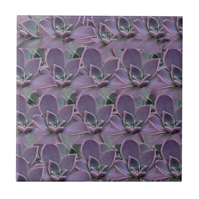 Carreau Succulente violette (Devant)