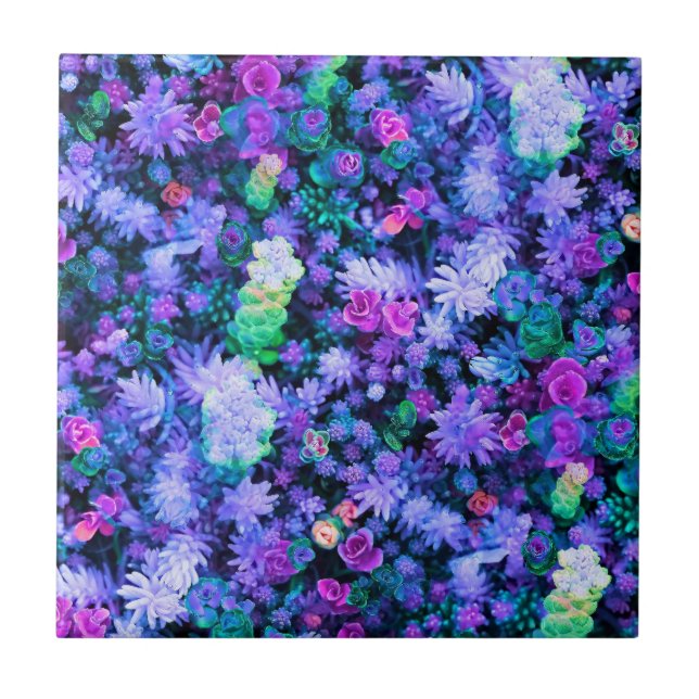 Carreau Succulents floraux roses et pourpres Girly (Devant)