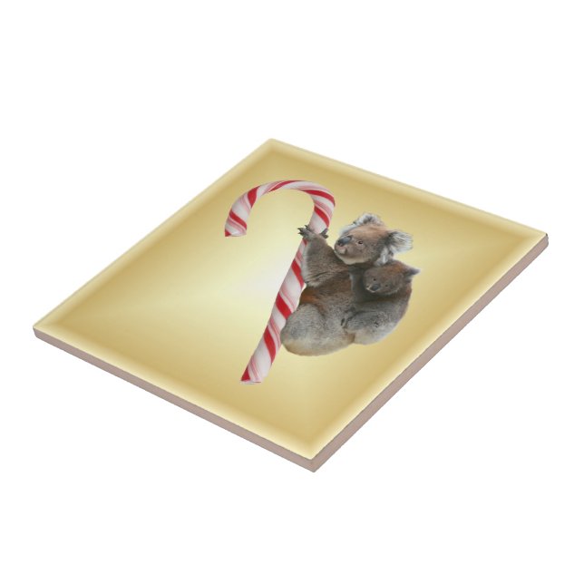 Carreau Sucre de canne de Noël Koalas (Côté)