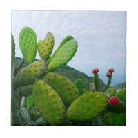 Sud-ouest Cactus Figue de Barbarie Plante Succulen