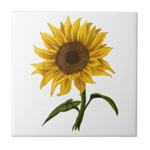 Carreau Sunflower Sunshine Floral Aquarelle Fleur