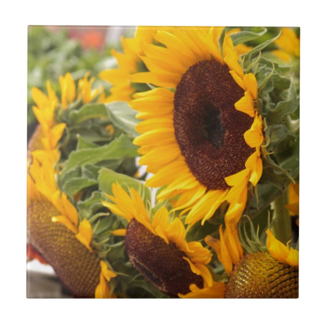 Carreau Sunflowers ! (Devant)