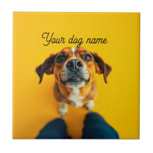 Carreau Sunny Dog – Conception de nom personnalisée
