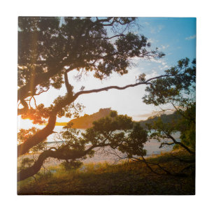 Carreau Sunrise Coromandel plage paradis Nouvelle-Zélande