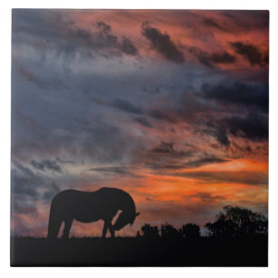 Carreau Sunrise du pays