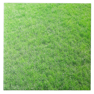 Carreau Superbe Carrelage vert d'herbe