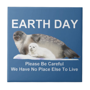 Carreau Sur la glace fine