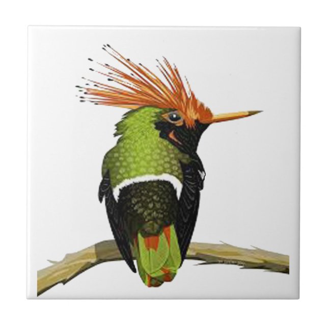 CARREAU SUR UN MEMBRE (Devant)