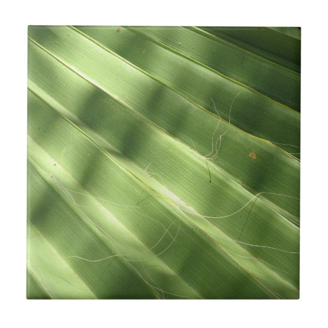 Carreau Surfaces naturellement Cool_Fluted Frond (Devant)