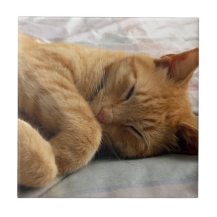 Carreau Sweet Dreams
