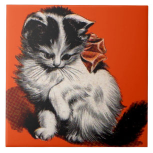 Carreau sweet little kitten