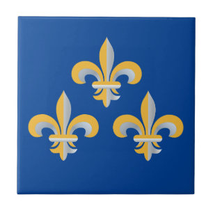 Carreau Symbole de Fleur de Lis