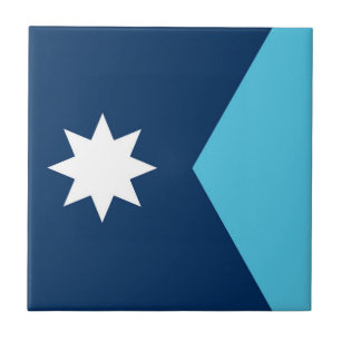 Carreau symbole du nouveau drapeau de l'État du Minnesota