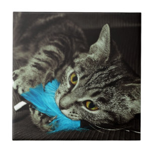 Carreau Tabby Cat avec plume par Shirley Taylor