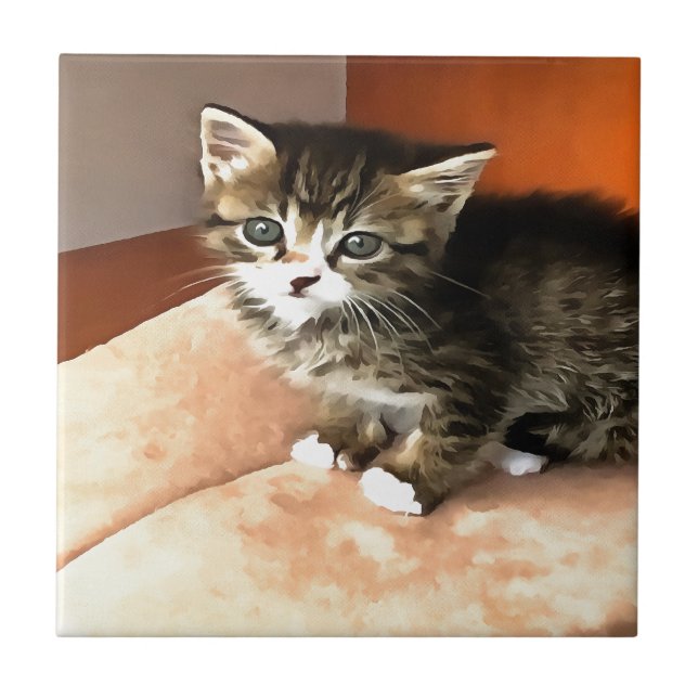 Carreau Tabby Cat Kitten Portrait pour animaux (Devant)