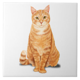 Carreau Tabby Gingembre Orange Tiger Chat Personnalisé