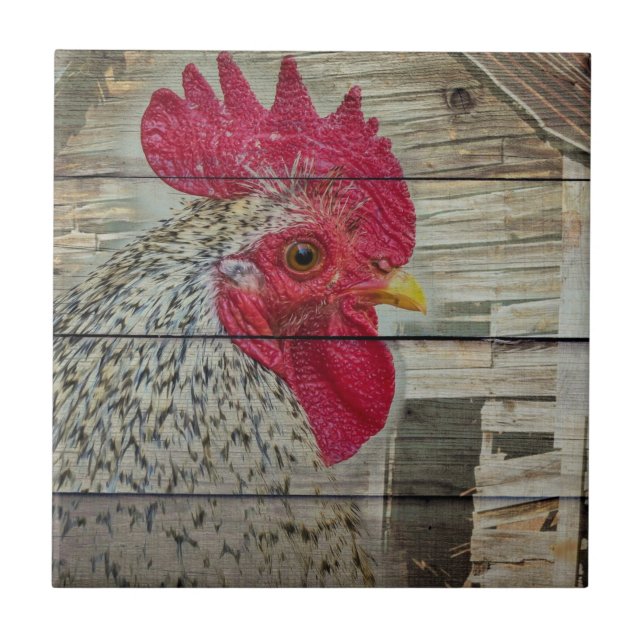 Carreau Tableau de la grange de poulet rustique Rooster (Devant)