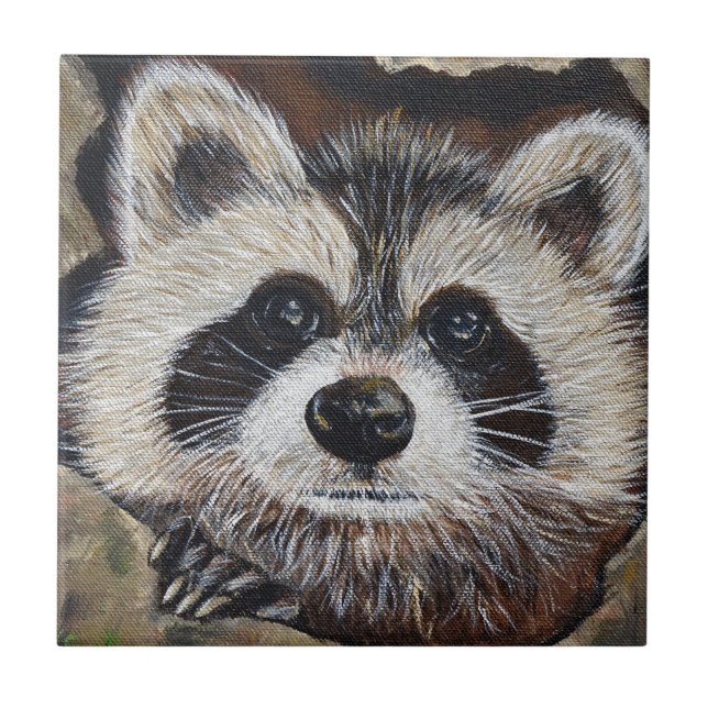 Carreau Tableau Raccoon (Devant)