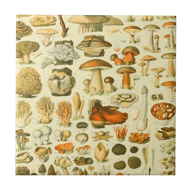 Carreau Tabouret de toilette Vintage de champignons Illust (Devant)