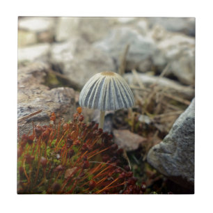 Carreau Tabouret minuscule