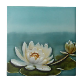 Carreau Tailles vintages de la tuile 2 de Backsplash de