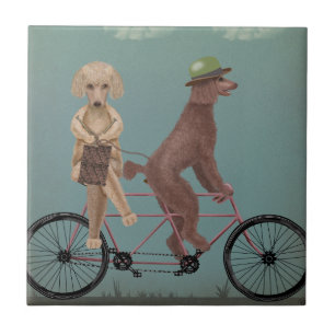 Carreau Tandem de caniche
