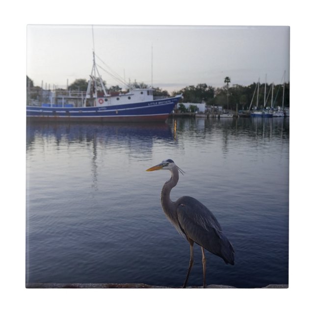 Carreau Tarpon Springs (Devant)