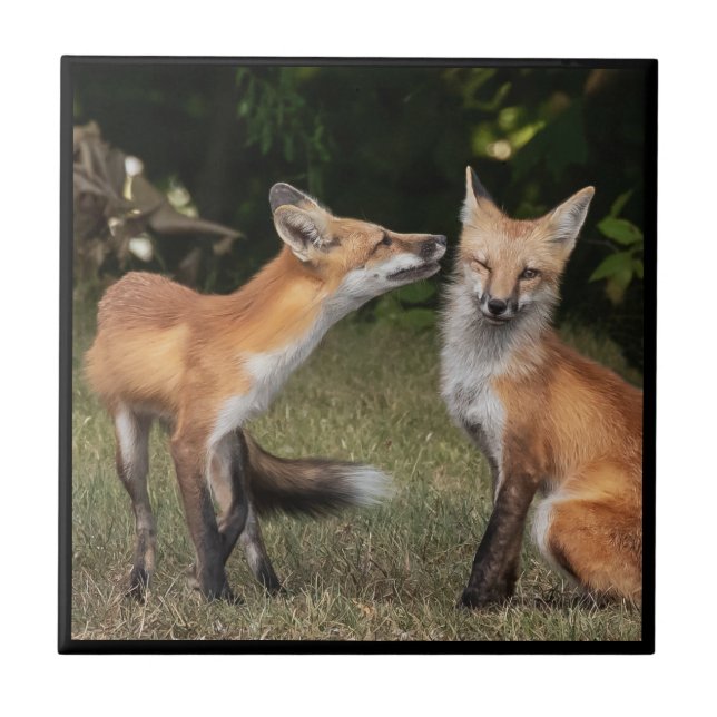 Carreau T'as Un Bonbon ? (Devant)