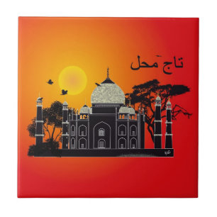 Carreau Tasch Mahal Inde Fliese 1