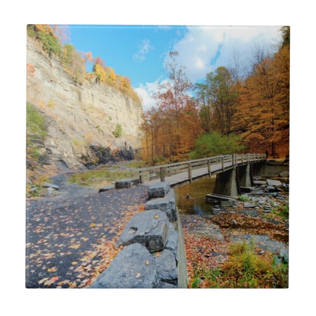 Carreau Taughannock tombe parc d'état (Devant)