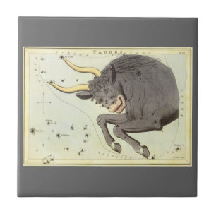 Carreau Taureau, Constellation Vintage Urania's Mirror