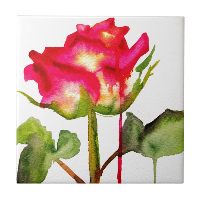 Carreau Tea hybride Rose aquarelle moderne fleurie art (Devant)