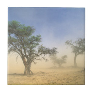 Carreau Tempête de sable dans le désert du Kalahari, Kgala