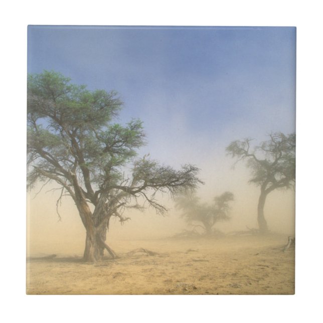 Carreau Tempête de sable dans le désert du Kalahari, Kgala (Devant)