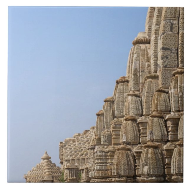 Carreau Temple jaïn dans le fort de Chittorgarh, Inde (Devant)