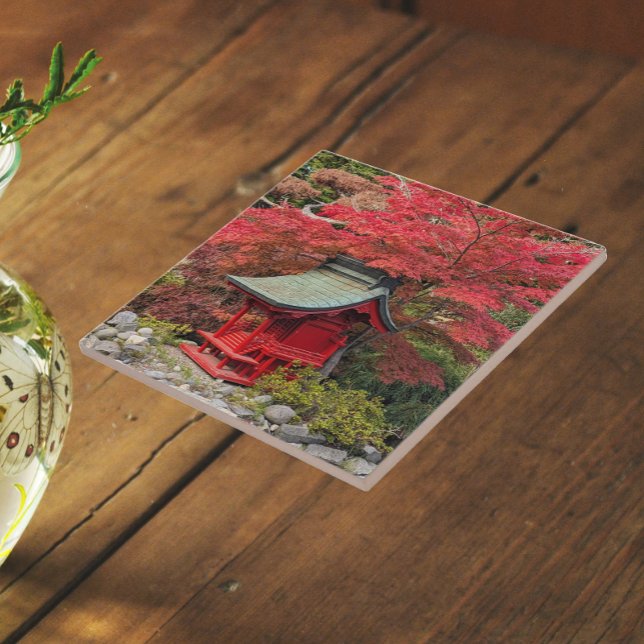 Carreau Temple japonais de jardin et feuilles d'automne (In Situ)