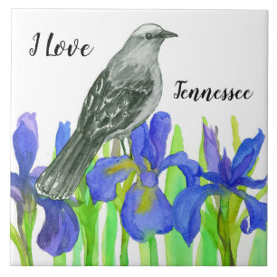 Carreau Tennessee Souvenir Oiseau jaune bleu Iris