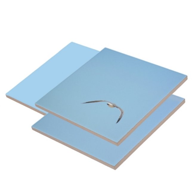 Carreau Terne royale en vol Bleu côtier des oiseaux marins (1 of 7 coordinating Terns in flight sky blue ceramic tiles)